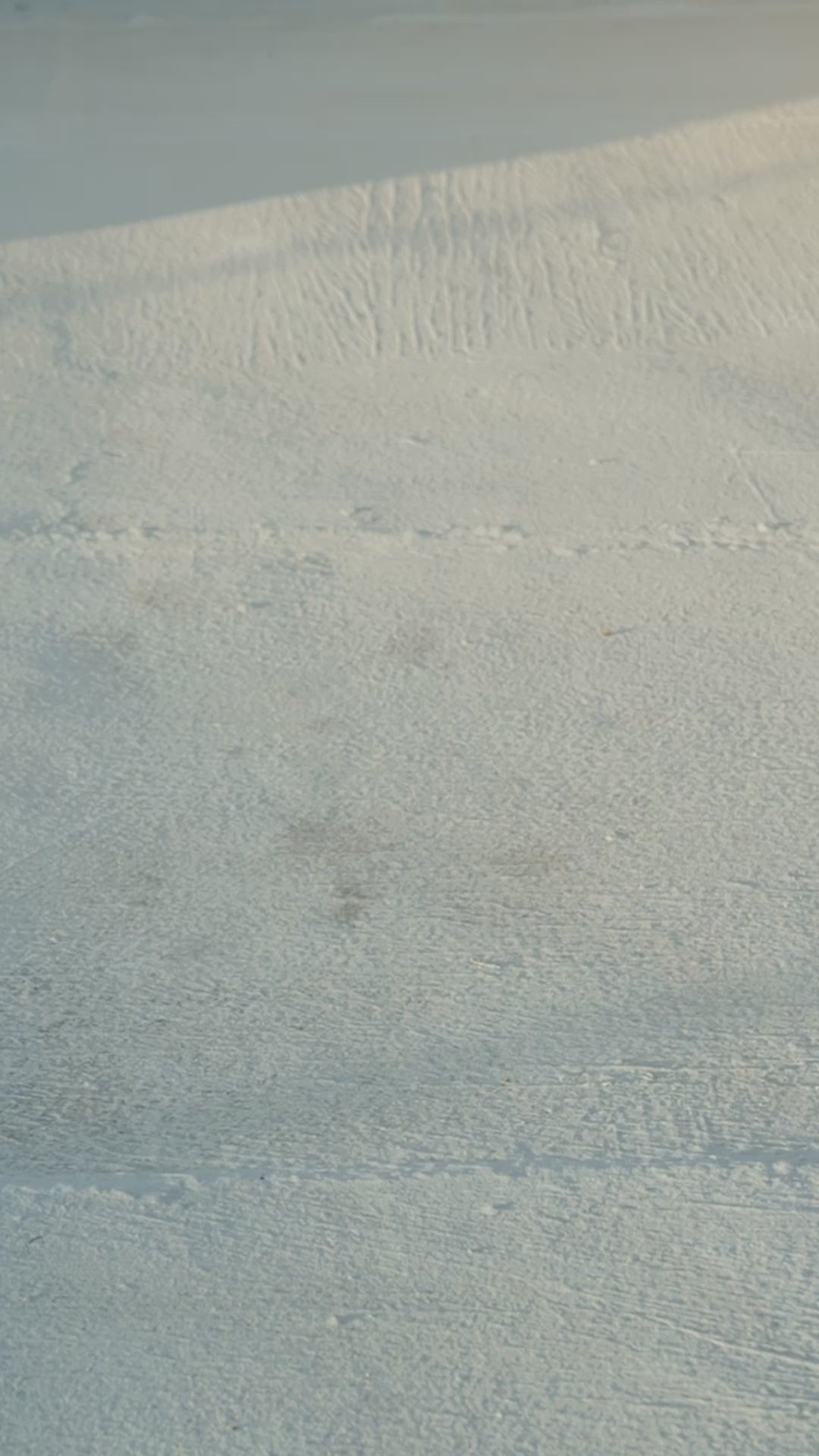 pluggaz beer bottle opener thongs flip flops